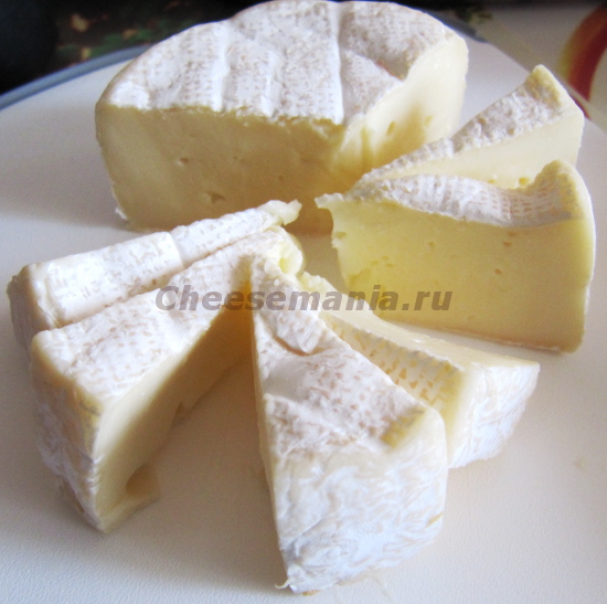 Вред и польза сыра с плесень